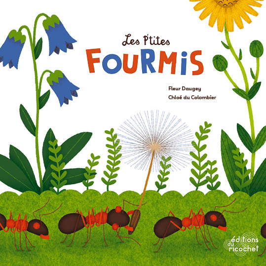 Les P’tites Fourmis - La vie dans la fourmillière